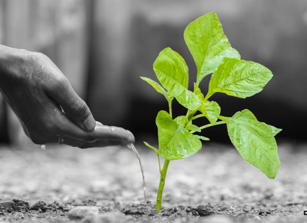 Management system certifications